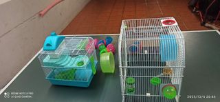 Jaulas para hámster con accesorios