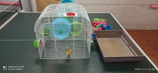 Jaulas para hámster con accesorios