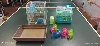 Jaulas para hámster con accesorios