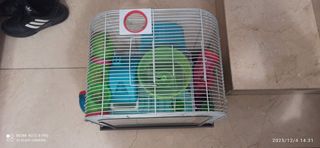 Jaulas para hámster con accesorios