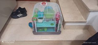 Jaulas para hámster con accesorios