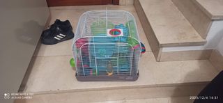 Jaulas para hámster con accesorios