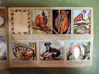 Álbum MAGA Zoología y Botánica