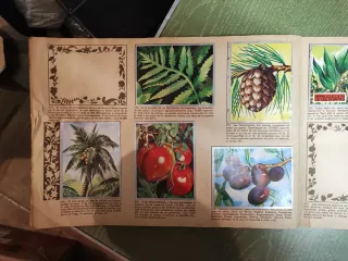 Álbum MAGA Zoología y Botánica