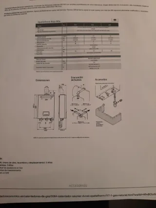 Termo Saunier Duval Gas Natural Estanco 17L
