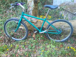 Bicicleta de Montaña Reacondicionada