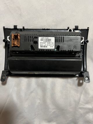 Pantalla Check Control Peugeot 407 (2004)