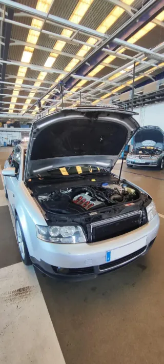 Audi A4 B6 ETIQUETA ECO