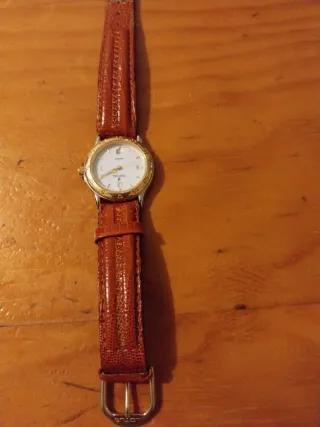 Reloj Festina Dorado y Marrón mojer