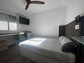 Piso en alquiler en Alcalde Felipe Mallol en San Vicente del Raspeig/Sant Vicent del Raspeig