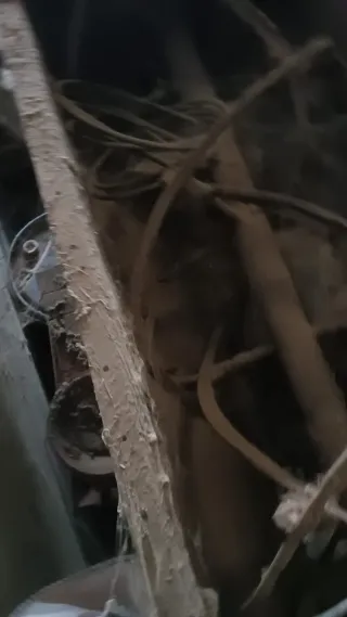 Mezcladora de piensos industrial de 1000kg