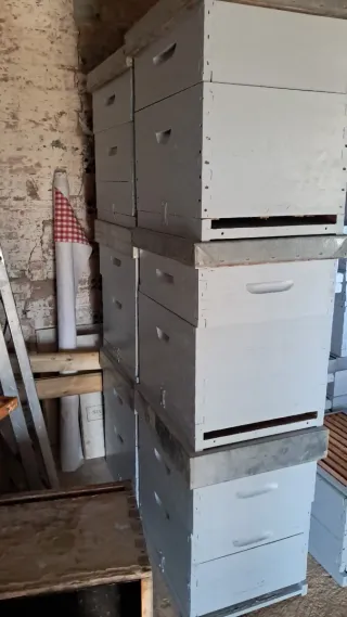 Cajas de colmena para abejas