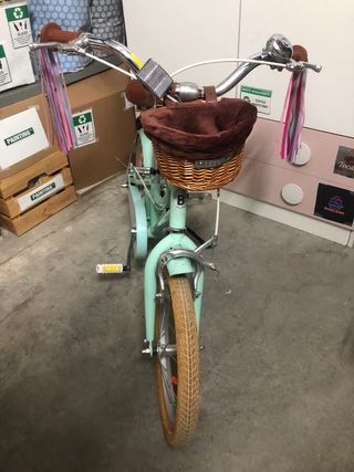 Bicicleta Bobbin Mint con Cesta y ruedines de 16”
