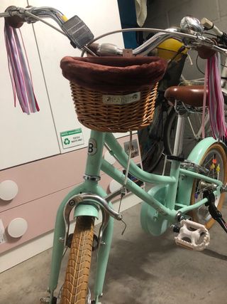 Bicicleta Bobbin Mint con Cesta y ruedines de 16”