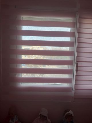 Due tende a rullo rosa