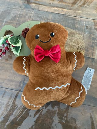 Cojín de Peluche Jengibre