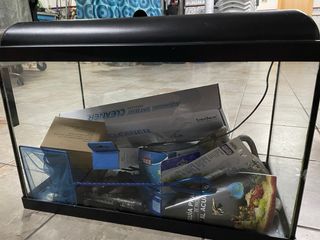 Acuario con plantas y decoración