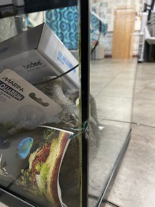 Acuario con plantas y decoración