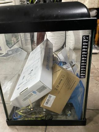 Acuario con plantas y decoración