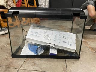 Acuario con plantas y decoración