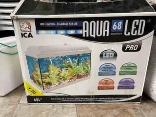 Acuario con plantas y decoración