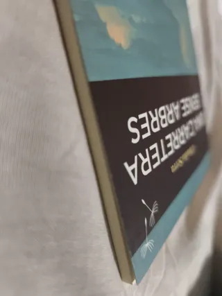 Una Carretera Sense Arbres