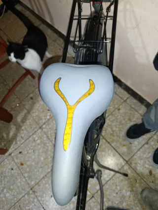 Bicicleta Clásica Retro Negra