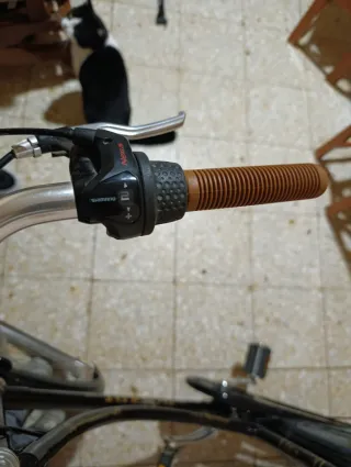 Bicicleta Clásica Retro Negra