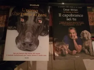 L'uomo che parla ai cani Il Capobranco Sei Tu Cesa