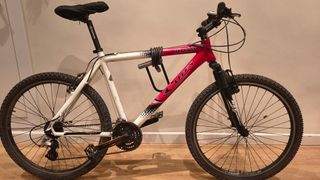 Bicicleta de Montaña