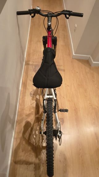 Bicicleta de Montaña