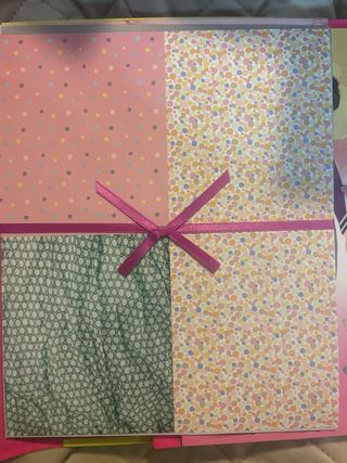 Carpeta Diseños TOPMODEL