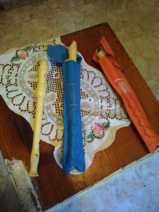 Flauta dulce con estuches
