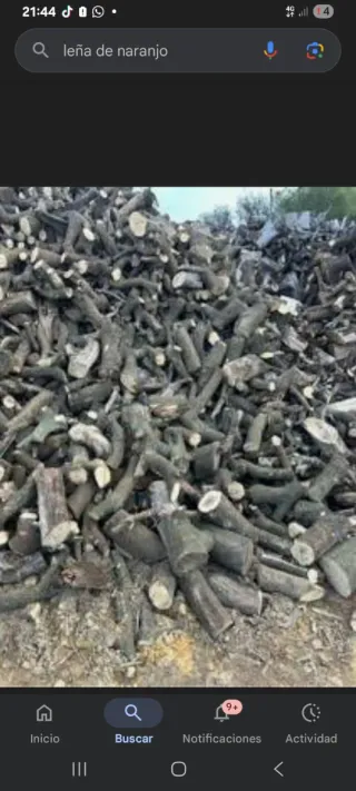 Leña de naranjo para chimenea, estufa y caset