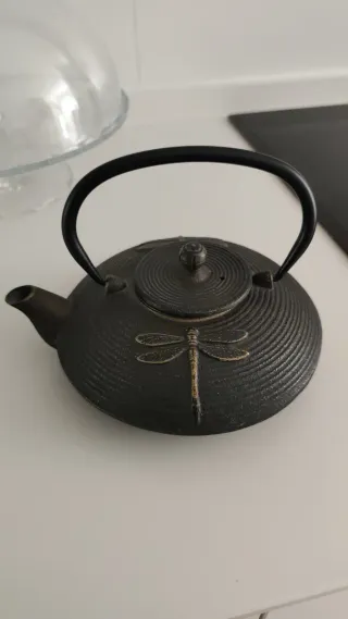 Tetera de hierro fundido con libélula