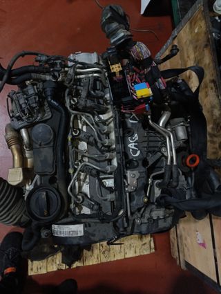 Despiece Motor 2.0 TDI CAGA 143 CV
