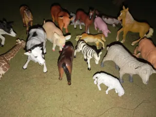 Remolque para animales + lote animales