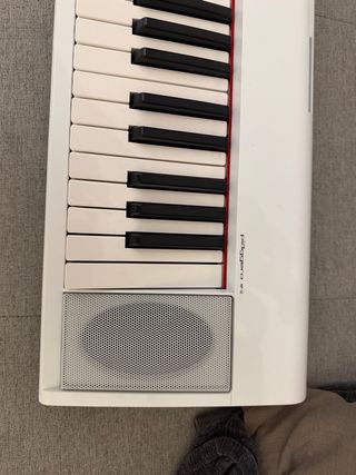 Teclado Yamaha Piaggero NP-12. Tiene poco uso.
