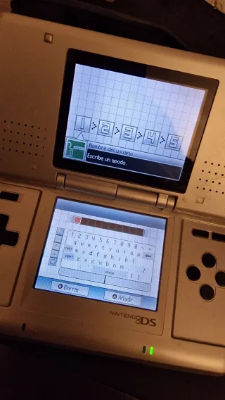 Nintendo DS Piattaforma Argento