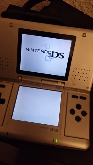 Nintendo DS Piattaforma Argento