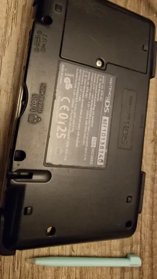 Nintendo DS Piattaforma Argento