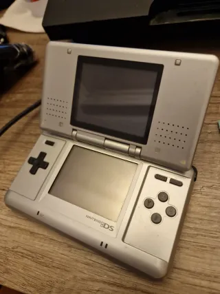 Nintendo DS Piattaforma Argento