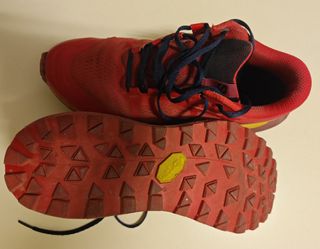 Zapatillas Trail Salomon Ultra Glide 2