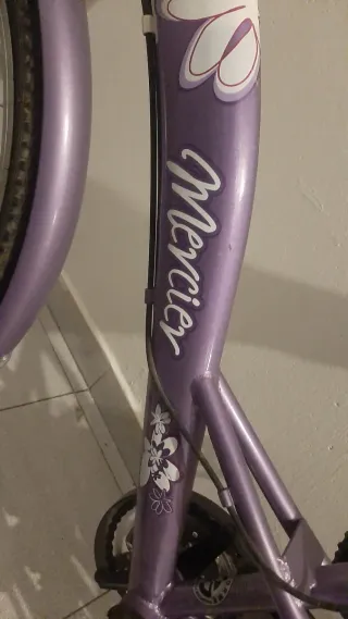 Bicicleta de paseo morada