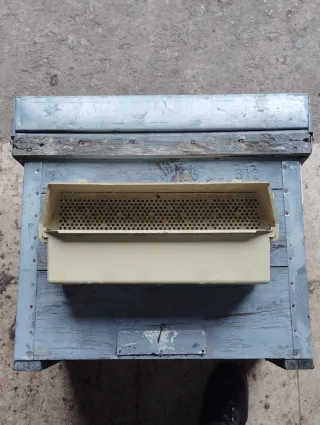 Cazapolen de plástico