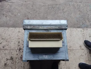 Cazapolen de plástico