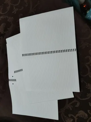 Quaderni a spirale Enlivo