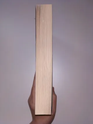 El gremio de los magos (Crónicas del Mago Negro...