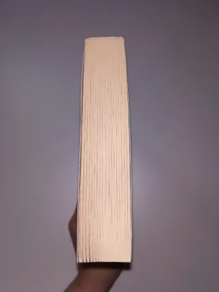 El gremio de los magos (Crónicas del Mago Negro...