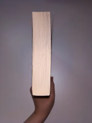 El gremio de los magos (Crónicas del Mago Negro...